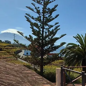 https://casa-canarina.in-canary-islands.com